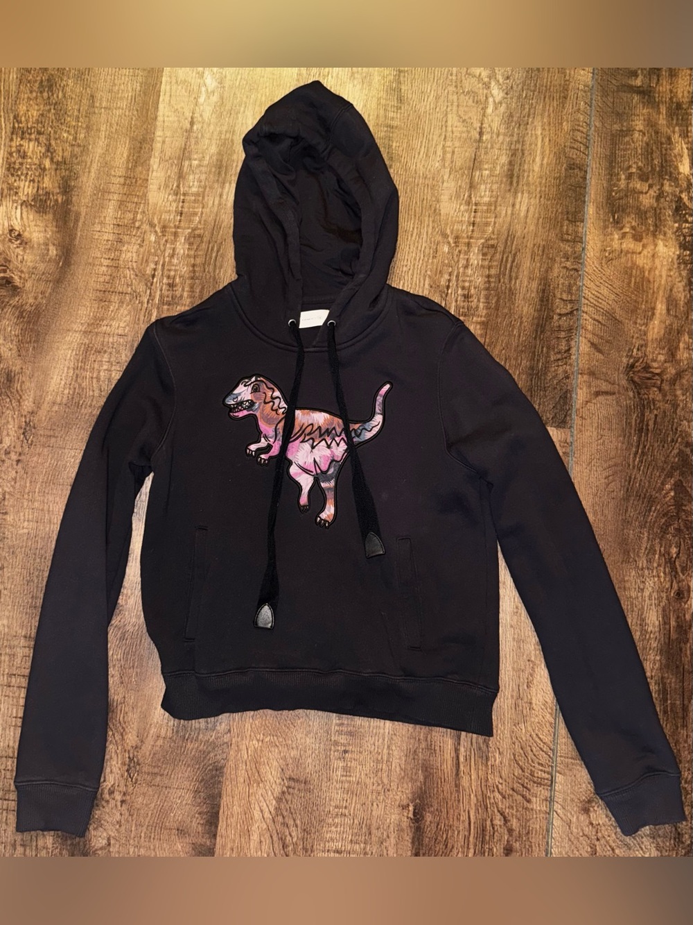 Coach Rexy the Dinosaur Hoodie Kaffe Fassett